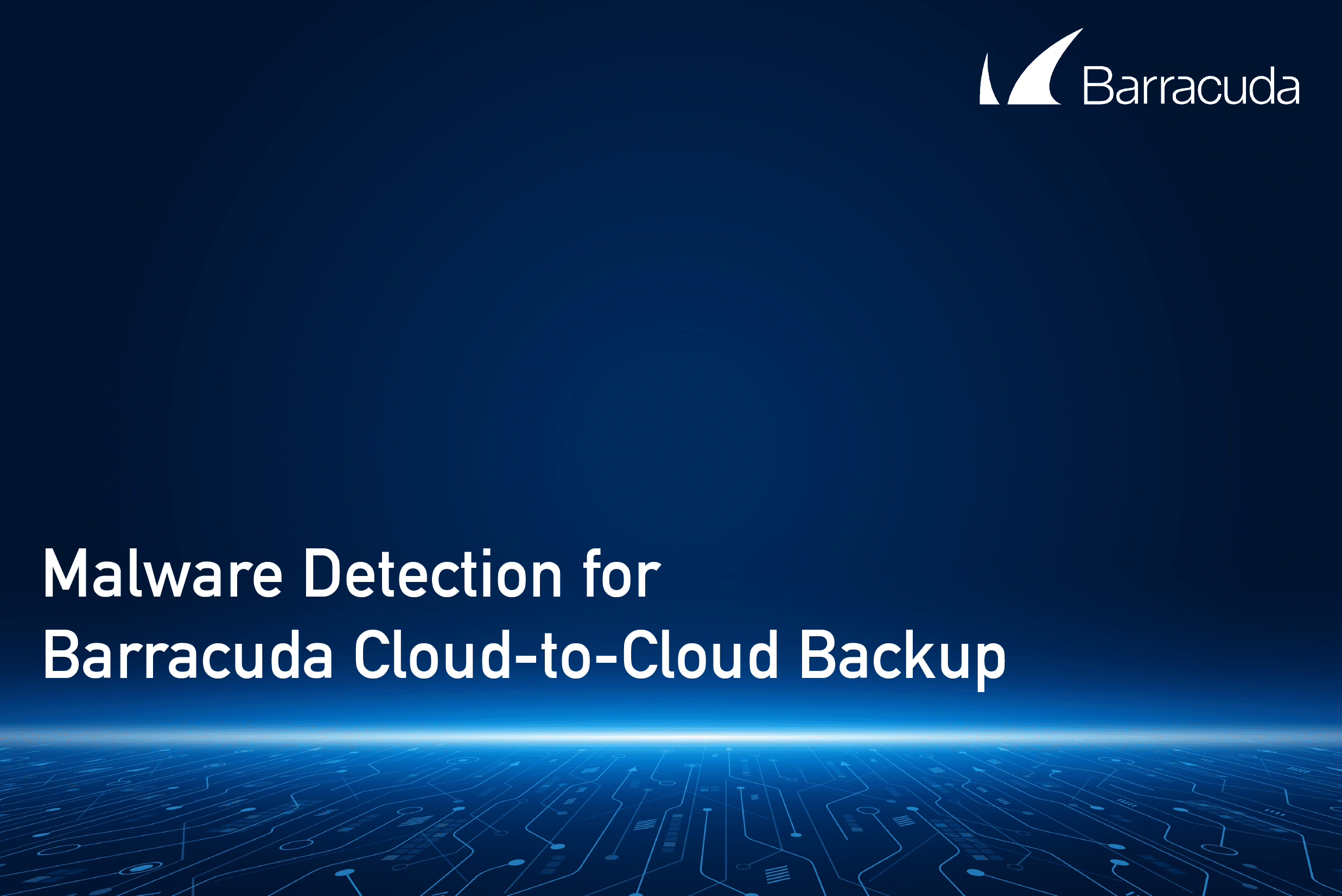 Barracuda visual